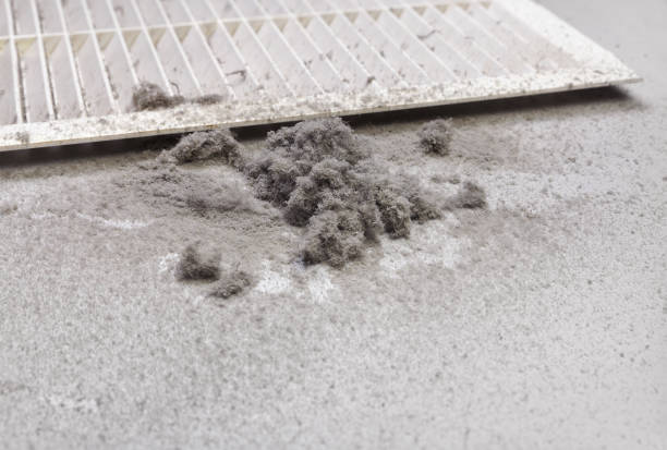 Best Affordable Duct Cleaning Services  in Powell, OH