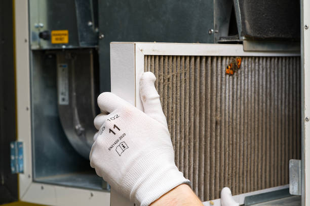 Best Local Air Duct Cleaning Services  in Powell, OH