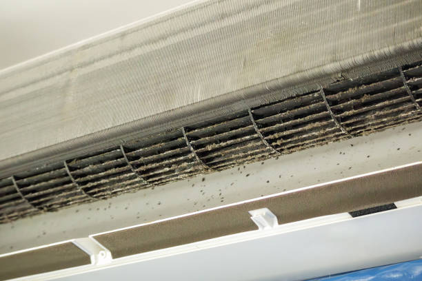 Best Dryer Vent Cleaning Services  in Powell, OH